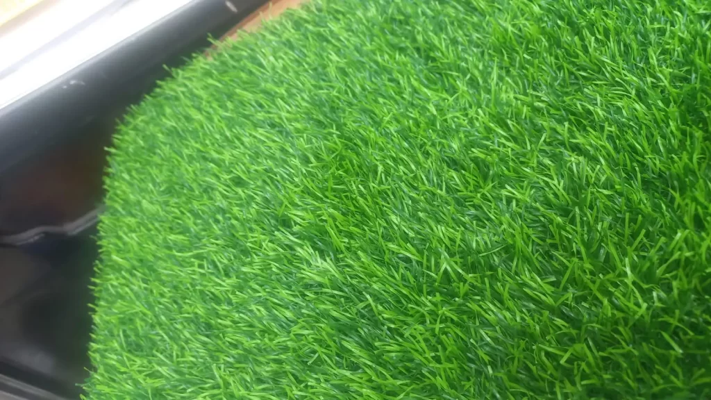 العشب الإصطناعي